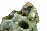 Realistic, Polished Labradorite Skull - Madagascar #151060-3